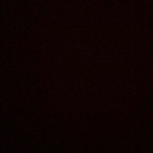 Meet your Posher, Samyuktha